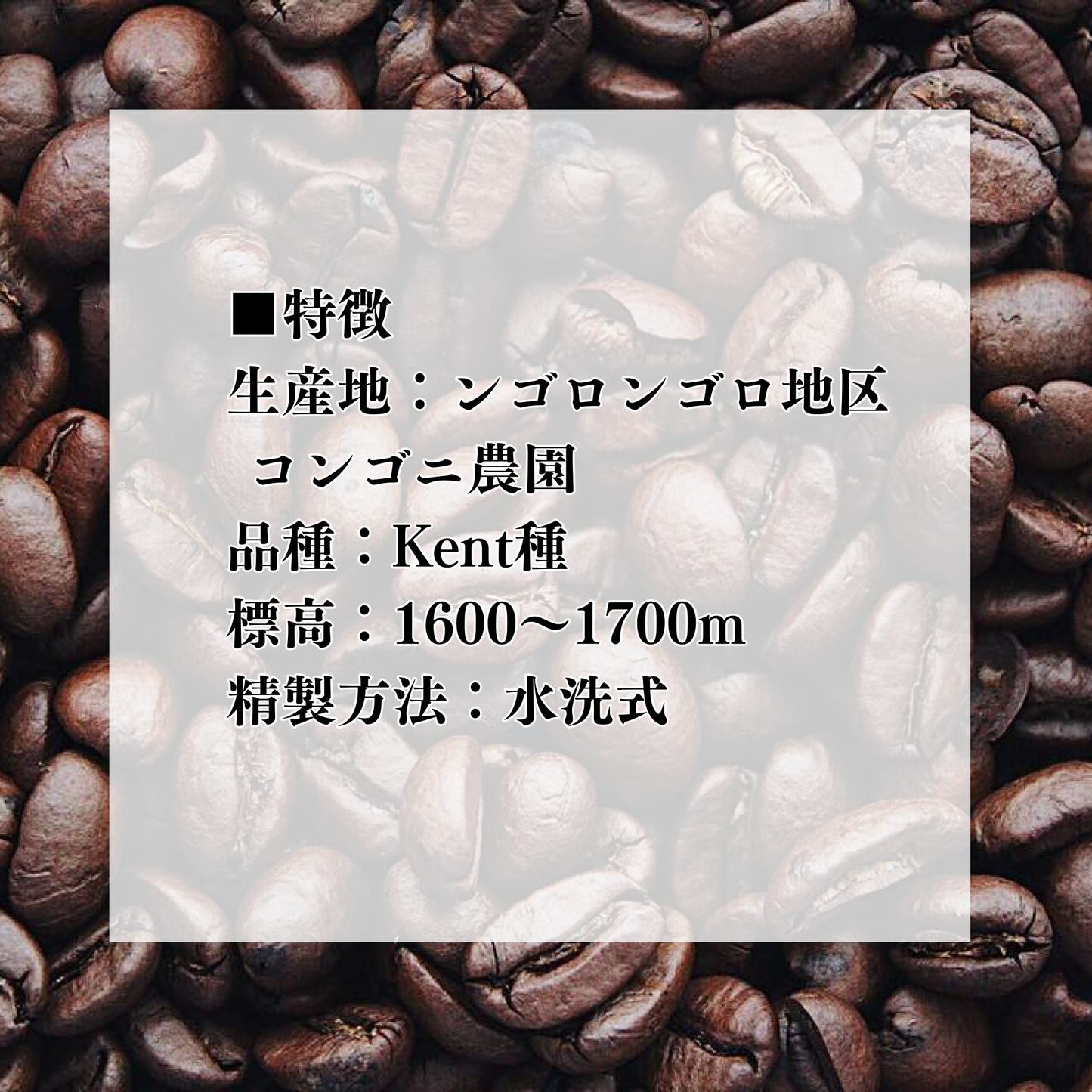 タンザニア ん・ゴロゴロ 深煎り