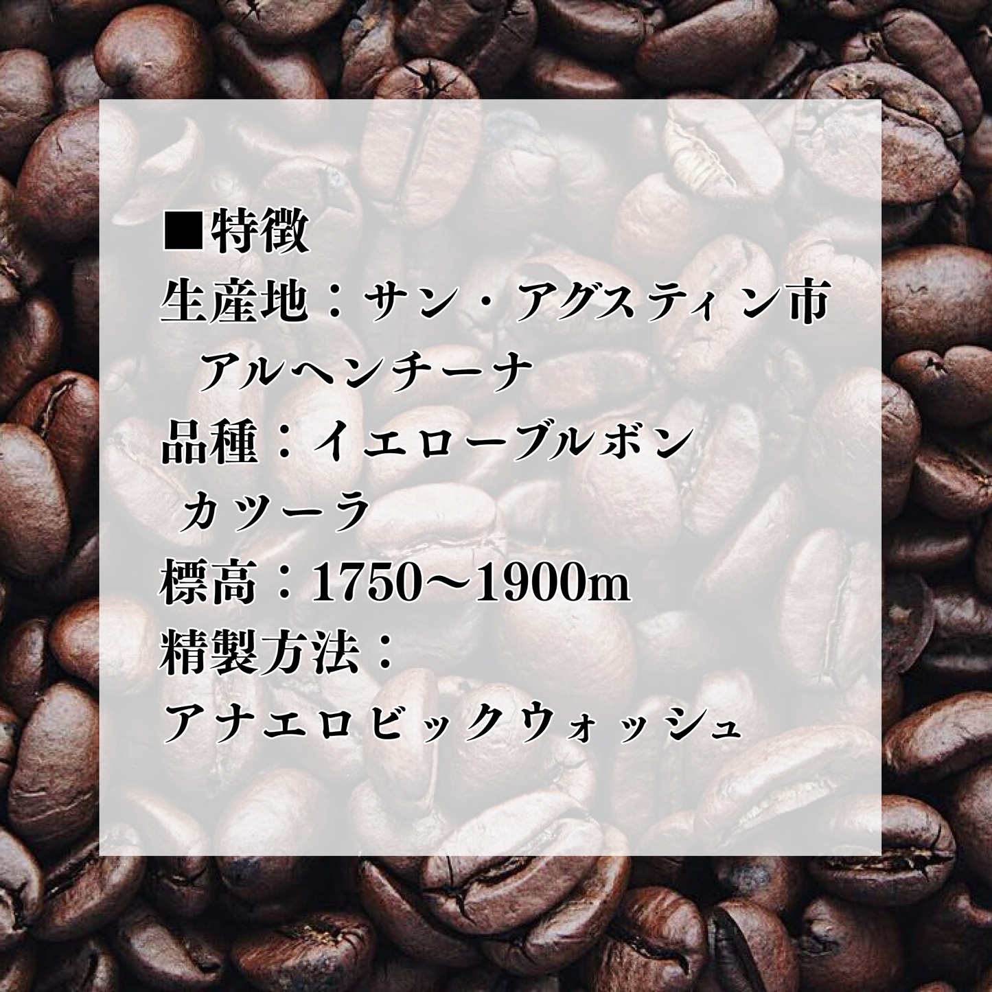 商品詳細