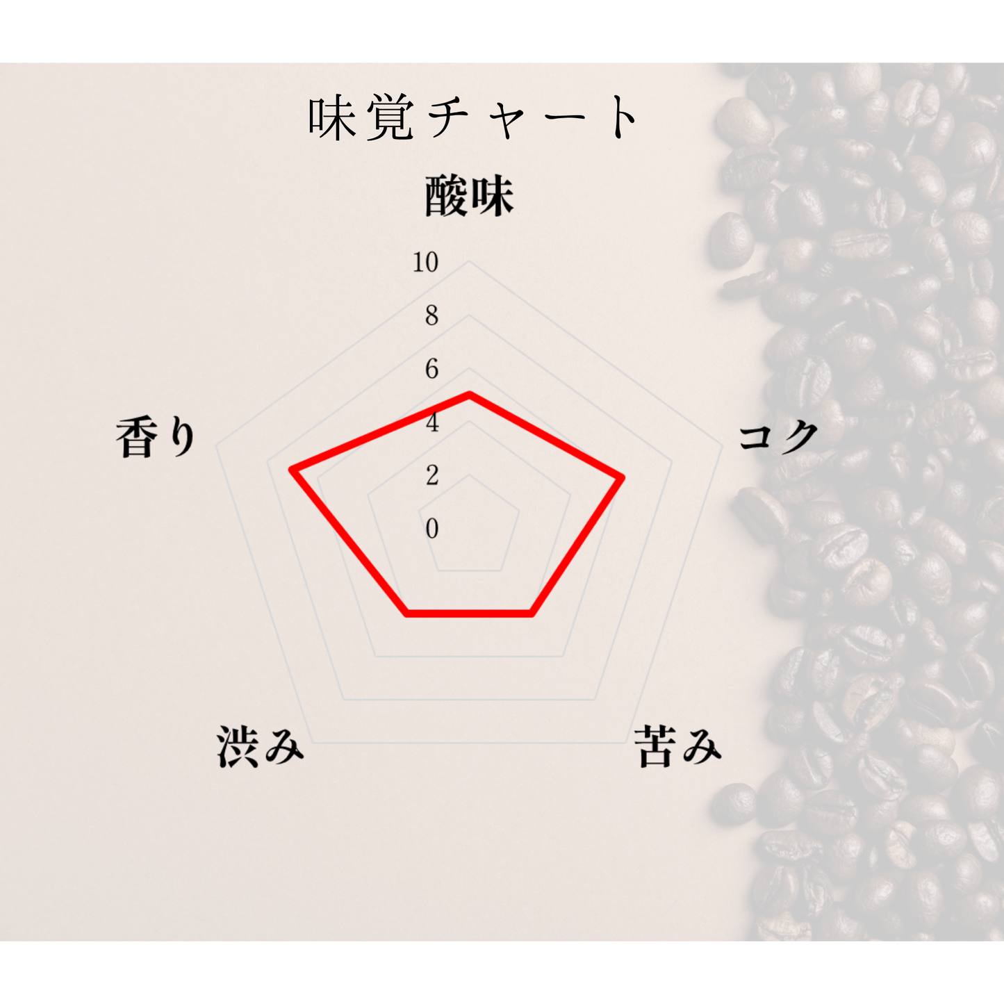 イルガチャフィG1 ナチュラル チェルベサ　中煎り